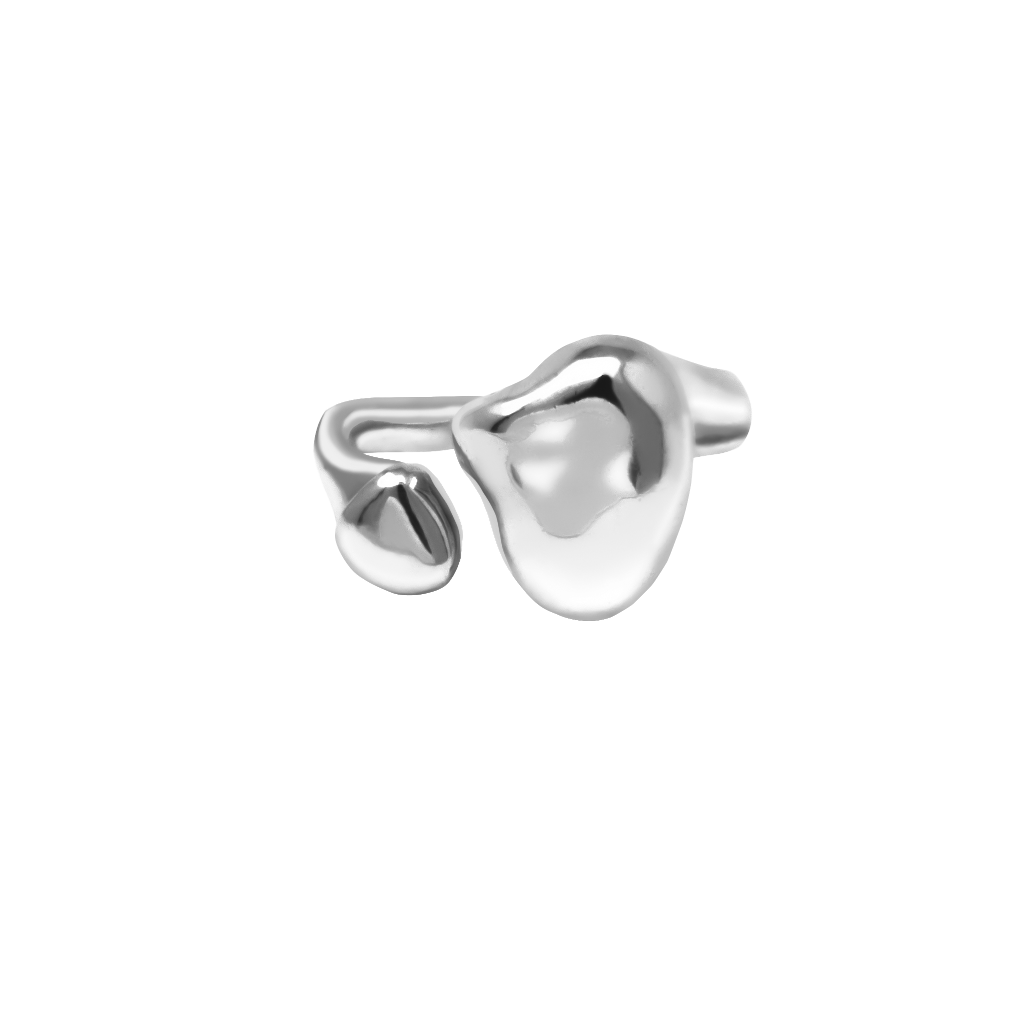 auriga ring
