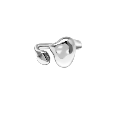 auriga ring